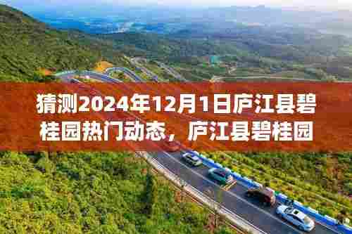 庐江县碧桂园未来展望，深度评测与介绍，预测未来动态展望至2024年12月1日