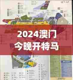 2024澳门今晚开特马结果336期,高效性设计规划_LYN66.978动感版