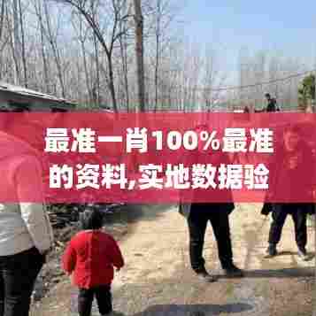 最准一肖100%最准的资料,实地数据验证分析_10DM99.382-2