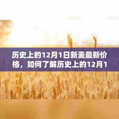 历史上的12月1日新麦最新价格详解，了解与查询步骤指南