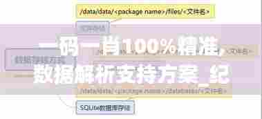 一码一肖100%精准,数据解析支持方案_纪念版83.690-3