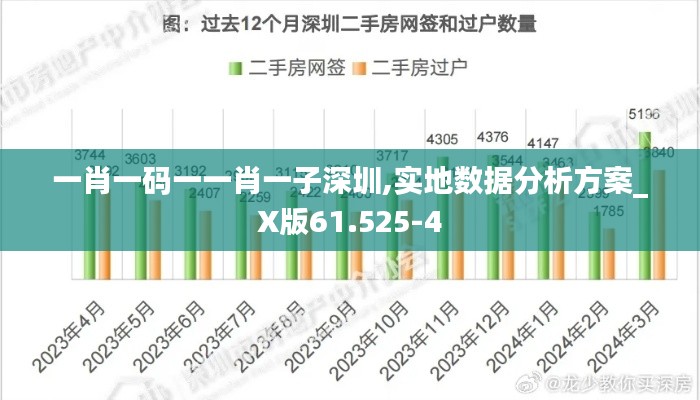 一肖一码一一肖一子深圳,实地数据分析方案_X版61.525-4