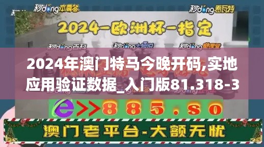 2024年澳门特马今晚开码,实地应用验证数据_入门版81.318-3