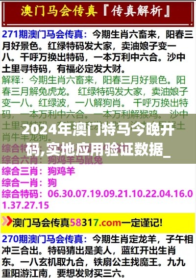 2024年澳门特马今晚开码,实地应用验证数据_入门版81.318-3