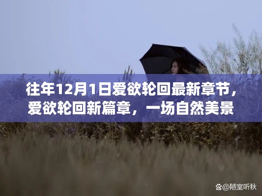 爱欲轮回,探寻自然美景之旅唤醒内心宁静的新篇章(最新章节)