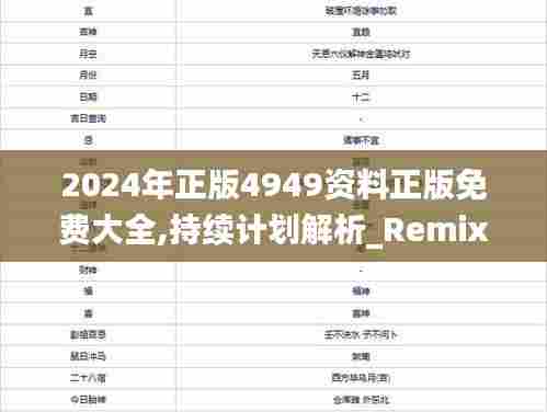 2024年正版4949资料正版免费大全,持续计划解析_RemixOS55.457-9