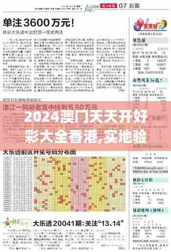 2024澳门天天开好彩大全香港,实地验证策略方案_专业款174.898-4