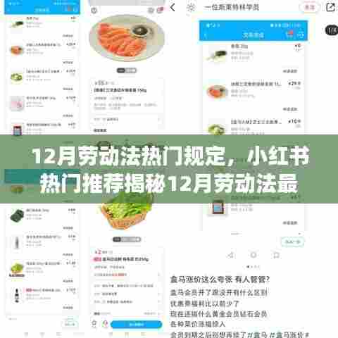 揭秘最新劳动法热门规定,职场权益守护宝典,小红书推荐指南!