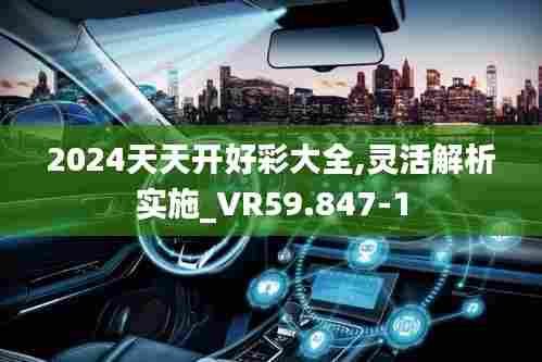 2024天天开好彩大全,灵活解析实施_VR59.847-1