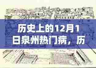 历史上的12月1日泉州热门病,全面评测与深度解析