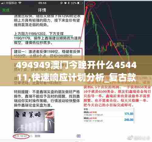 494949澳门今晚开什么454411,快速响应计划分析_复古款14.289-3