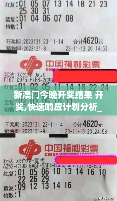 新澳门今晚开奖结果 开奖,快速响应计划分析_10DM33.482-7