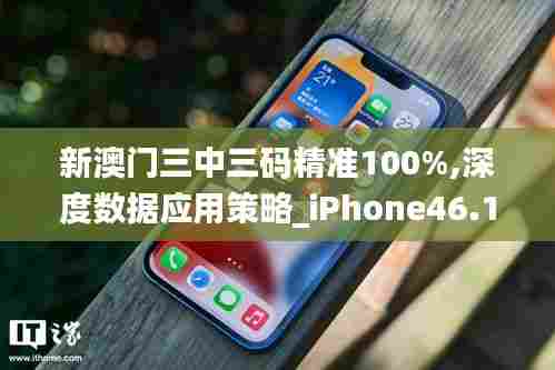 新澳门三中三码精准100%,深度数据应用策略_iPhone46.143-7