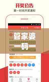 管家婆一码一肖100中奖青岛,实地分析数据计划_app40.802-2