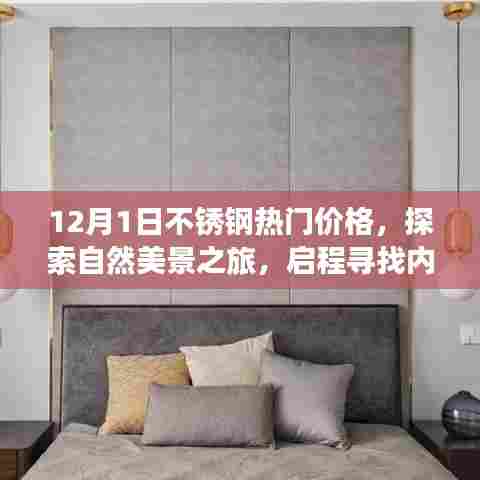 12月不锈钢热门价格与心灵宁静之旅,自然美景探索