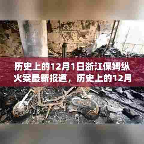 浙江保姆纵火案最新报道，深度分析与用户洞察回顾历史转折点事件纪实报道分析标题，纵火案背后的真相揭秘与深度洞察回顾历史转折点事件纪实报道分析。
