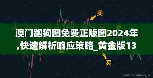 澳门跑狗图免费正版图2024年,快速解析响应策略_黄金版132.592-9