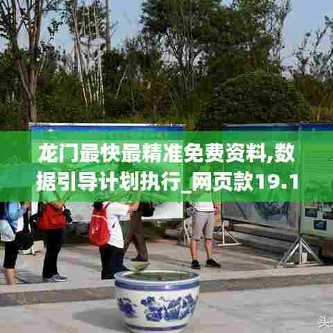 龙门最快最精准免费资料,数据引导计划执行_网页款19.118-9