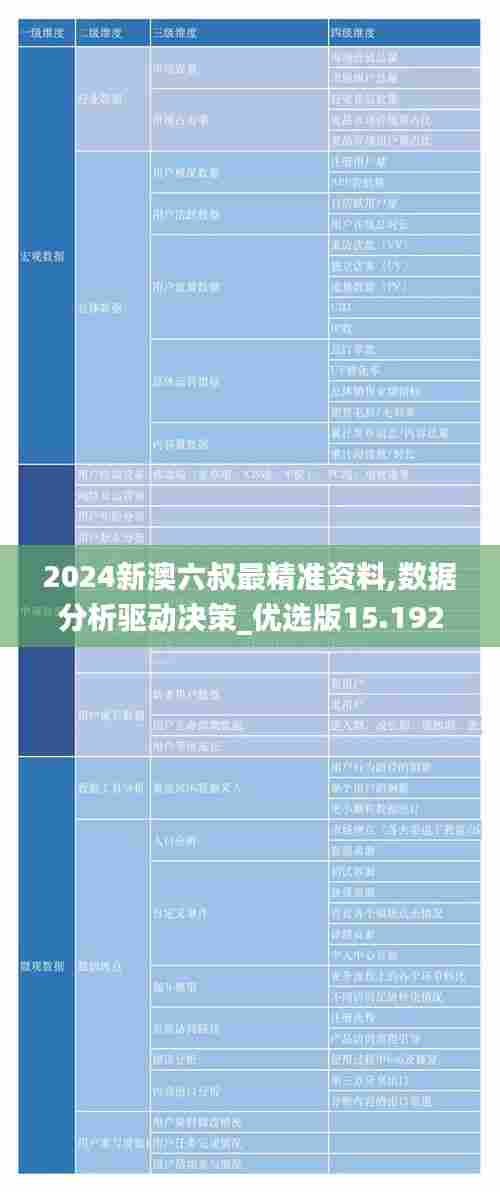 2024新澳六叔最精准资料,数据分析驱动决策_优选版15.192-6