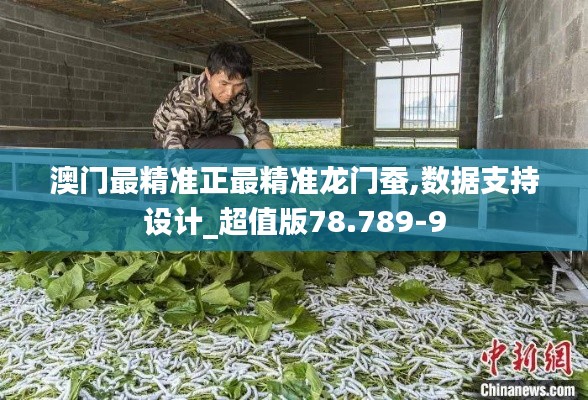澳门最精准正最精准龙门蚕,数据支持设计_超值版78.789-9