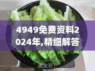 4949免费资料2024年,精细解答解释定义_尊贵款92.631-8