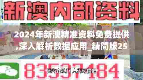 2024年新澳精准资料免费提供,深入解析数据应用_精简版25.252-3