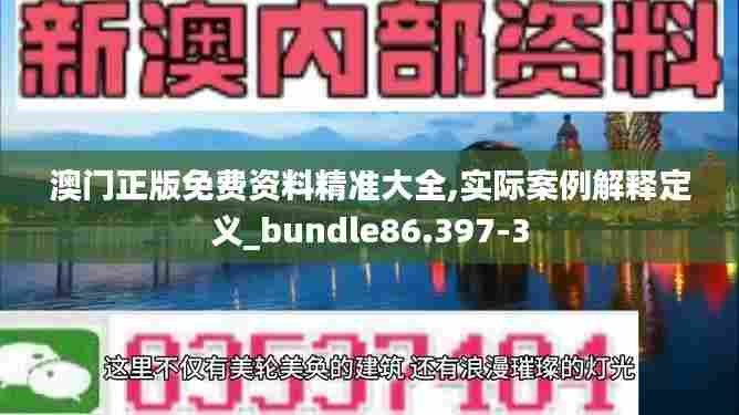 澳门正版免费资料精准大全,实际案例解释定义_bundle86.397-3
