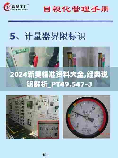 2024新臭精准资料大全,经典说明解析_PT49.547-3