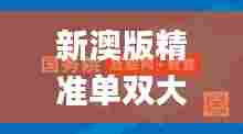 新澳版精准单双大全,实效性策略解析_AP12.716-6