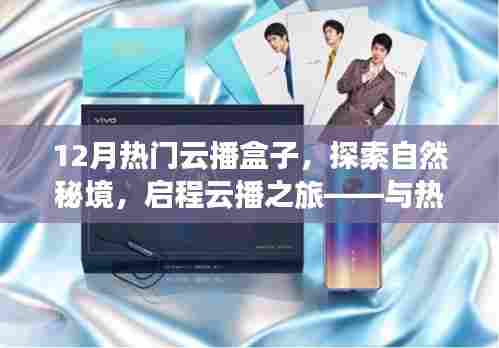 12月热门云播盒子，探索自然秘境，启程宁静的云播之旅