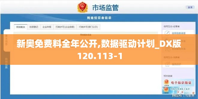 新奥免费料全年公开,数据驱动计划_DX版120.113-1