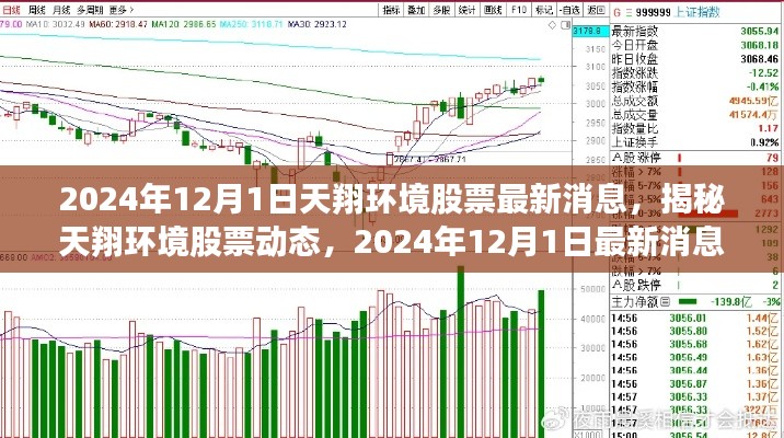 揭秘天翔环境股票动态,最新消息概览(2024年12月1日)