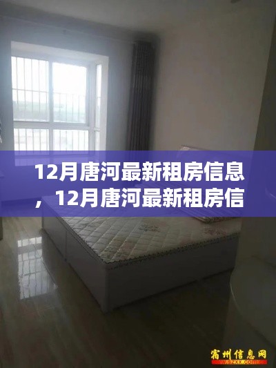 12月唐河最新租房信息汇总,优质房源一览无余