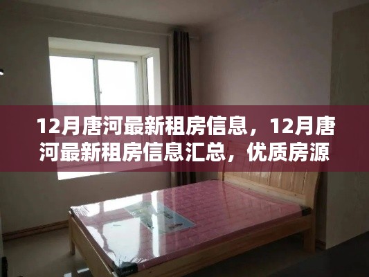 12月唐河最新租房信息汇总,优质房源一览无余