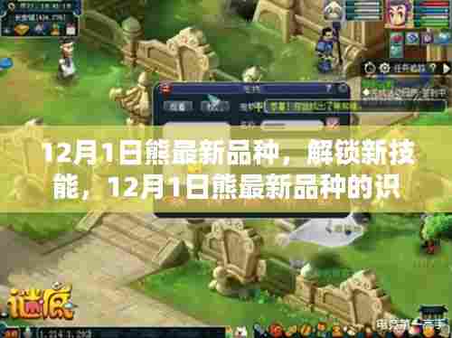 12月1日熊最新品种解锁,全新技能与识别照顾全攻略