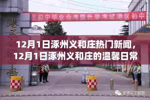 涿州义和庄,友情、家庭与节日的温馨日常与新闻热点交织