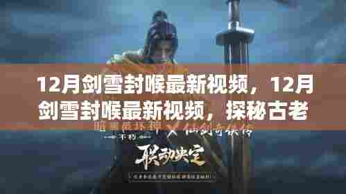 探秘古老武术的魅力与传承价值，最新剑雪封喉视频发布