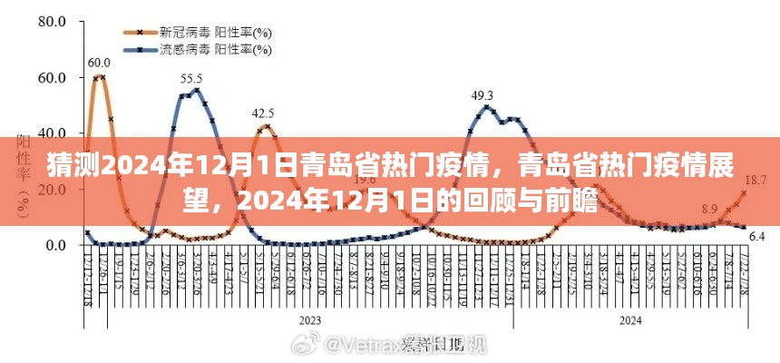 青岛省热门疫情展望,回顾与前瞻至2024年12月1日的发展趋势分析