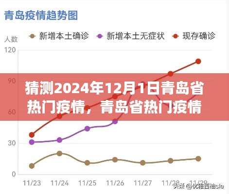 青岛省热门疫情展望,回顾与前瞻至2024年12月1日的发展趋势分析