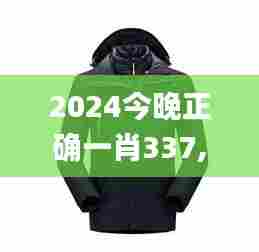 2024今晚正确一肖337,实地数据验证分析_RemixOS79.379-1