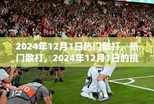 2024年12月1日散打挑战与机遇,热门散打赛事展望
