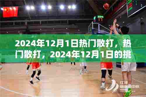 2024年12月1日散打挑战与机遇,热门散打赛事展望