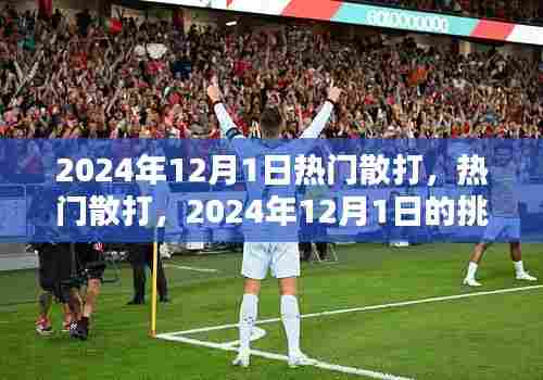 2024年12月1日散打挑战与机遇,热门散打赛事展望
