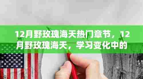 鼓舞人心的励志之旅，12月野玫瑰海天中的自信与成就感蜕变之路