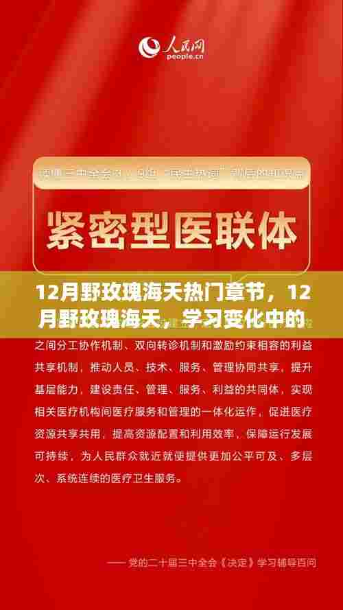 鼓舞人心的励志之旅,12月野玫瑰海天中的自信与成就感蜕变之路