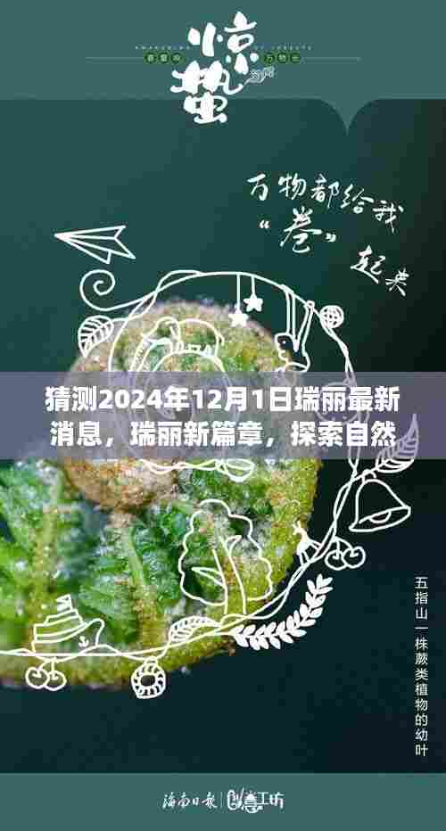 瑞丽新篇章,探索自然秘境,心灵旅行的启程(最新消息预测)