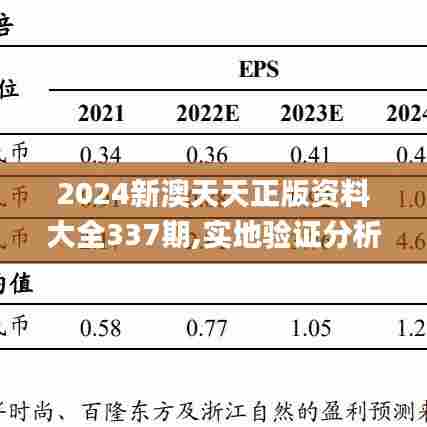 2024新澳天天正版资料大全337期,实地验证分析_T20.484-4