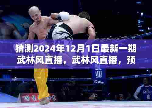武林风直播预测与深度评测,聚焦2024年12月1日最新一期武林风直播展望与解析