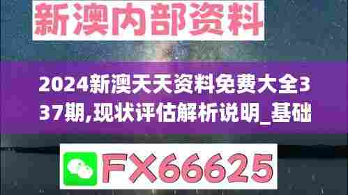 2024新澳天天资料免费大全337期,现状评估解析说明_基础版71.740-3