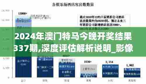 2024年澳门特马今晚开奖结果337期,深度评估解析说明_影像版8.207-1